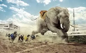 elephant wallpapers 2